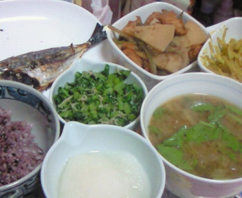 晩御飯